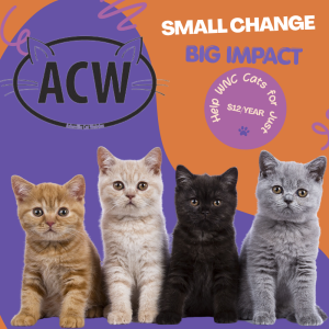Small Change Big Impact Campaign